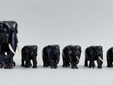 a group of elephants that are standing in a row