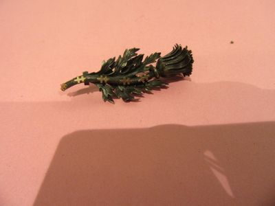 a plant that is laying on a table