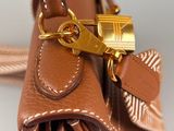 brown leather handbag with a gold metal clasp on a white background