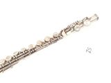 a picture of a flute that is on a white surface