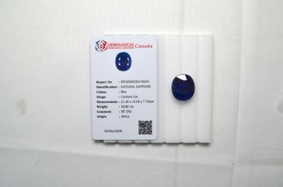 une image représentant une carte de visite sur laquelle figure un smiley