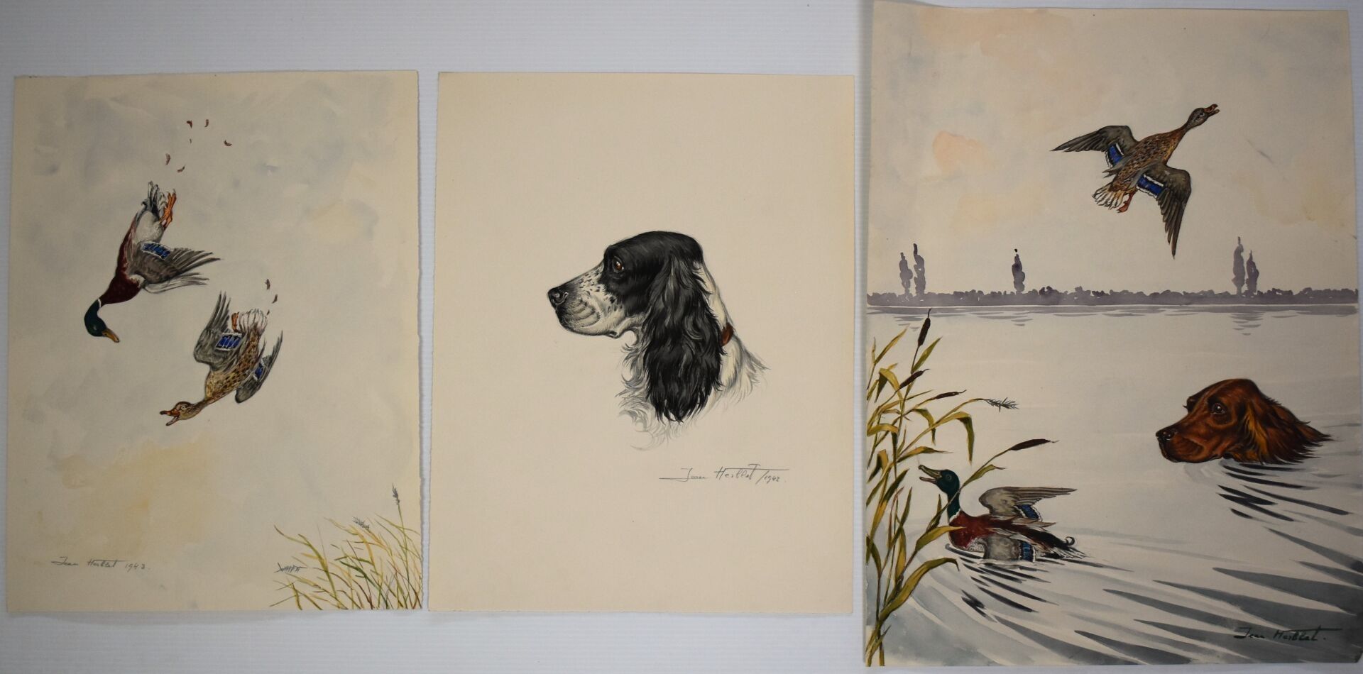 Objets d'art & Curiosités