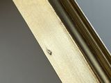 a close up of a gold frame with a small insect on it