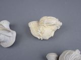 three pieces of white clay are sitting on a gray surface