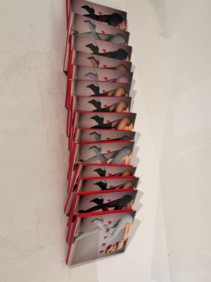 a wall mounted display of books with birds on them