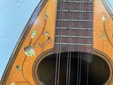 a close up of a guitar with a floral design on it