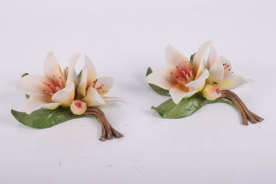 une paire de fleurs blanches et roses accompagnées de feuilles vertes sur un fond blanc