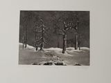 black and white photograph of a snowy landscape with trees and rocks