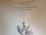 Photo 5/20 du lot