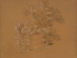 dessin représentant un groupe d'arbres sur une colline, avec un banc au premier plan