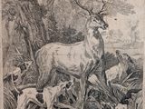 dessin représentant un cerf et une biche dans un décor boisé