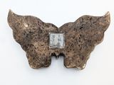 a butterfly shaped object with a small clock on it ' s back