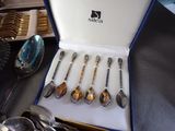 six spoons in a box on a table with silverware