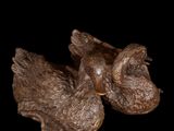 a bronze statue of a bird on a black background