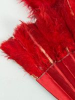 Plumes rouges, Europe, vers 1890 (photo 4)