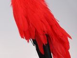 pair of red ostrich feathers on a black mannequin head