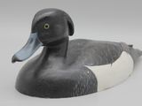 un canard noir et blanc qui est posé par terre