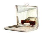 a silver case with a tortoise shell in it