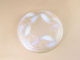 a glass plate with a circular design on it