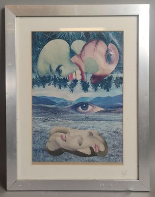 tableau représentant une femme allongée par terre devant une image d'éléphant