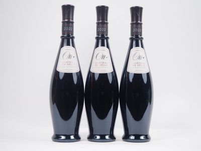 3 Bouteilles CÔTes DE Provence Cru ClassÉ CHÂTeau DE Selle R…