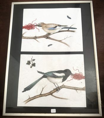 two pictures of birds sitting on the branches of a tree