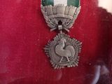 a silver medal with a green and white ribbon on it