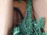 a christmas tree that is in a box on the floor