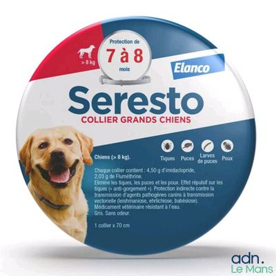 le chien est assis devant un bouton sur lequel est inscrit « Seresto »