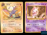 deux cartes Pokémon présentant des motifs différents, sur fond noir