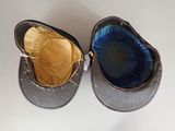 a pair of shoes that are sitting next to each other