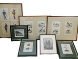 several framed and unframed prints of birds and birds on display
