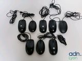 Plusieurs souris d'ordinateur noires sont alignées sur une surface blanche