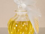 un bocal en verre contenant un liquide jaune
