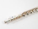 an image of a flute that is sitting on a white surface