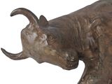 bronze statue of a bull on a white background with a white background