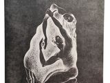 an image of a drawing of a bear holding a woman ' s hand