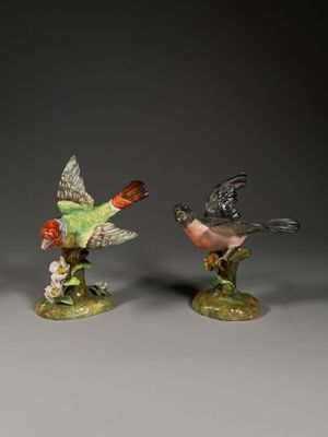 STAFFORDSHIRE. Volatiles juchés sur des souches Porcelaine d…