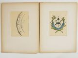 an open book with a drawing of a bird and a feather on it
