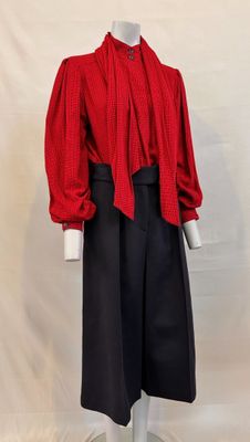 an image of a mannequin wearing a red shirt and black skirt