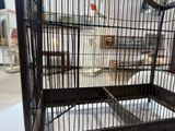 une cage à oiseaux posée sur une table, avec un oiseau à l'intérieur