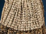an image of a doll with a dress made out of shells