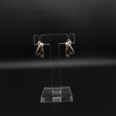 une paire de boucles d'oreilles en or et en argent posée sur un présentoir transparent