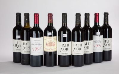 six bouteilles de vin rouge alignées sur une surface blanche