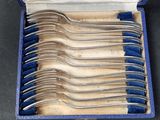 a lot of spoons in a blue case on the table