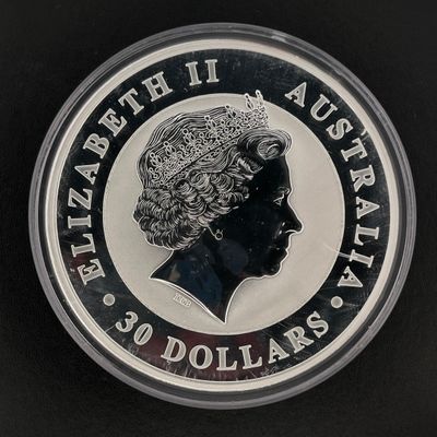une image représentant une pièce d'argent à l'effigie de la reine Élisabeth II