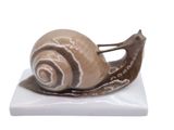 a snail that is sitting on top of a white plate