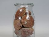 a glass jar filled with shells on a white surface