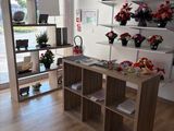 a room with a table, shelves, and flowers on the wall