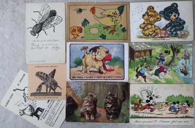 de nombreuses cartes postales représentant des animaux